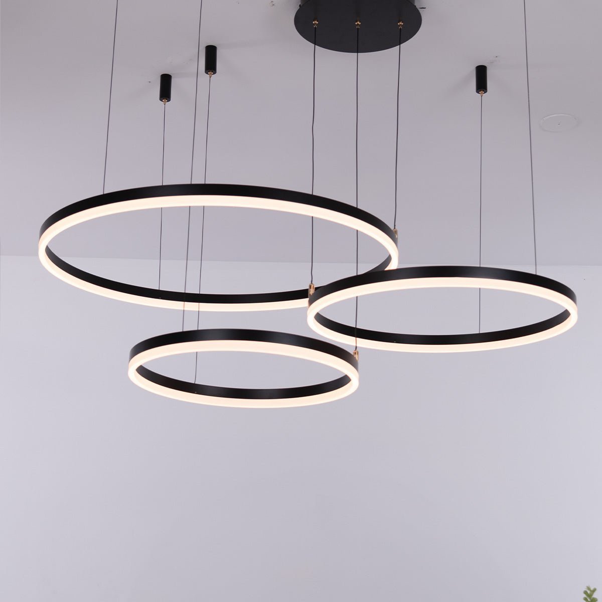 Nordic Ceiling Light Rings • Black - Chandelier - Haus of Interiors