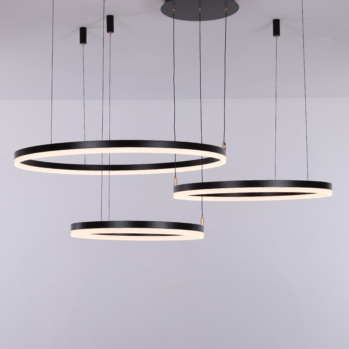 Nordic Rings • Black • 60CM + 80CM + 100CM - Warehouse Sale - Chandelier - Haus of Interiors