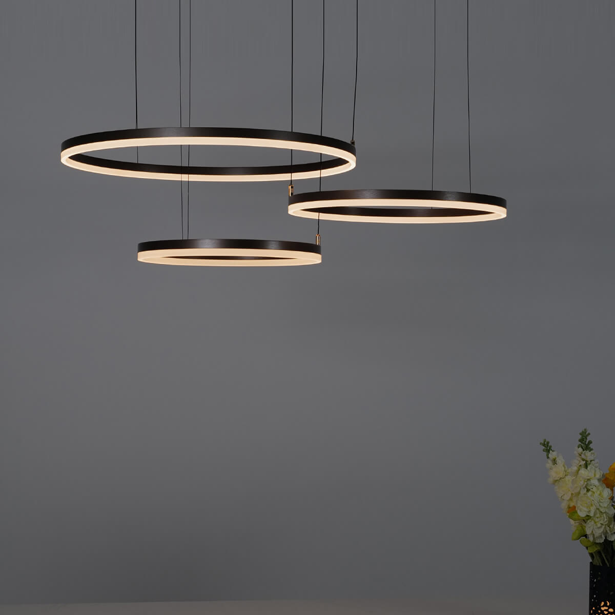 Nordic Rings • Brown • 60CM + 80CM + 100CM - Warehouse Sale - Chandelier - Haus of Interiors