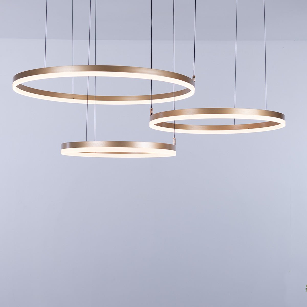 Nordic Rings Ceiling Light • Gold - Chandelier - Haus of Interiors