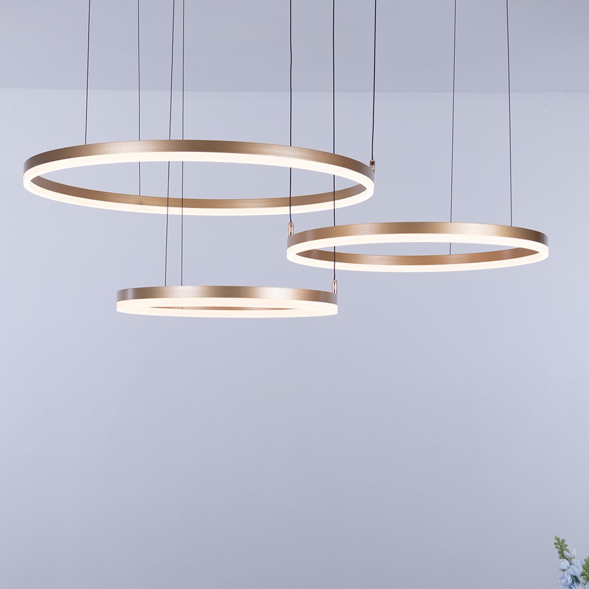 Nordic Rings Ceiling Light • Gold - Chandelier - Haus of Interiors