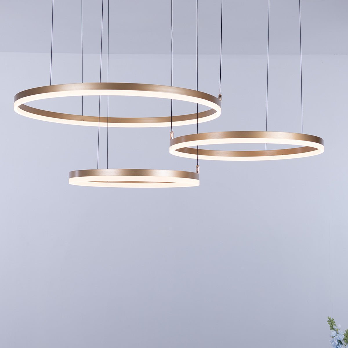 Nordic Rings • Gold • 50CM + 60CM + 80CM + 100CM - Warehouse Sale - Chandelier - Haus of Interiors