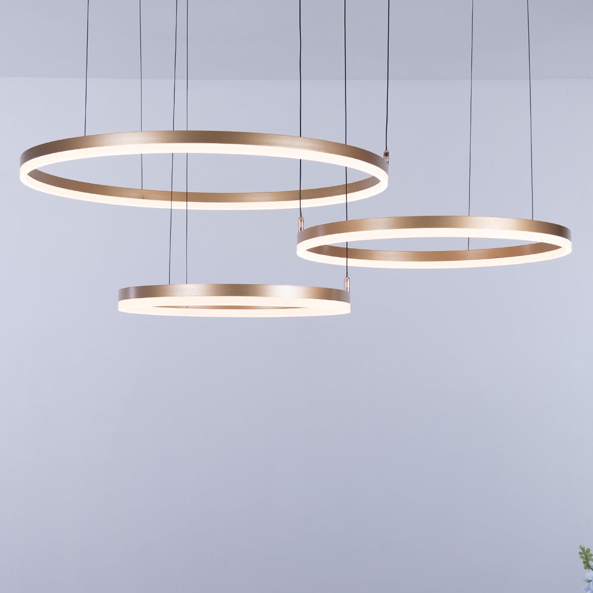 Nordic Rings • Gold • 60CM + 80CM + 100CM - Warehouse Sale - Chandelier - Haus of Interiors